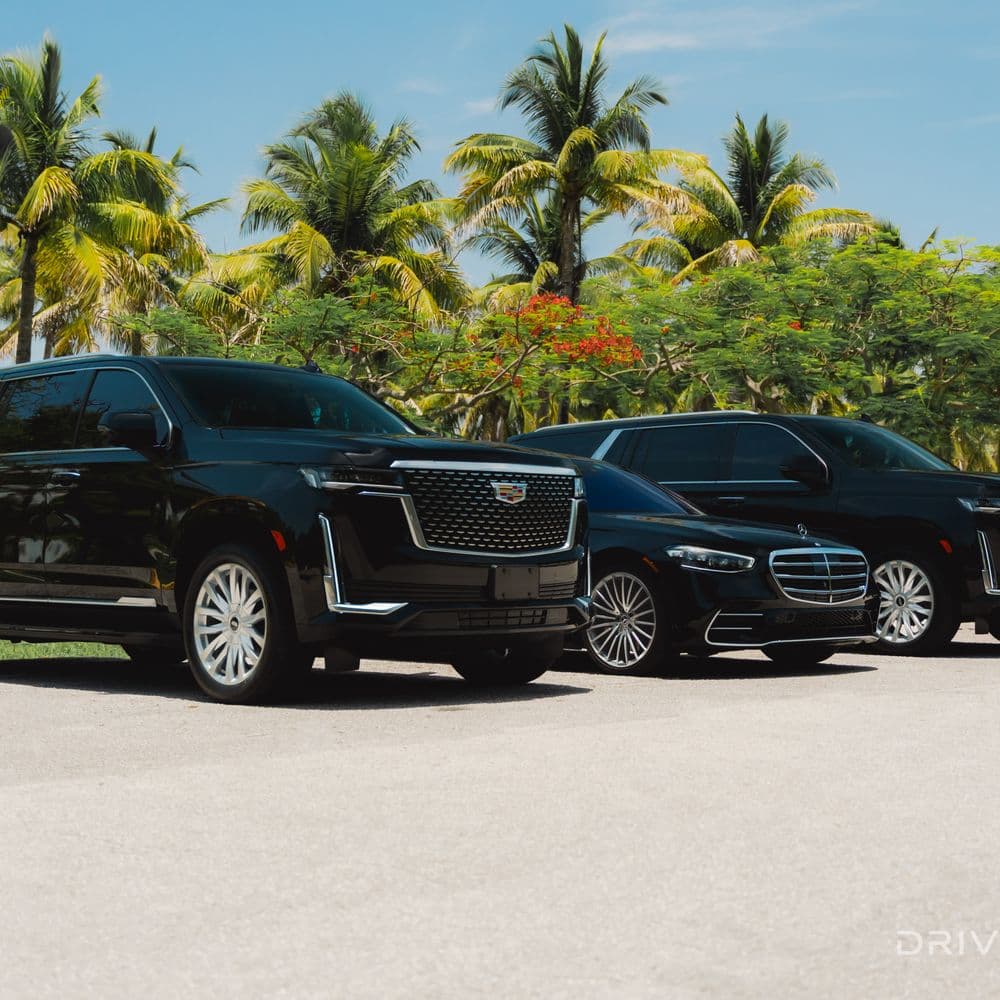 Private transfer Vancouver to Whistler with professional chauffeurs