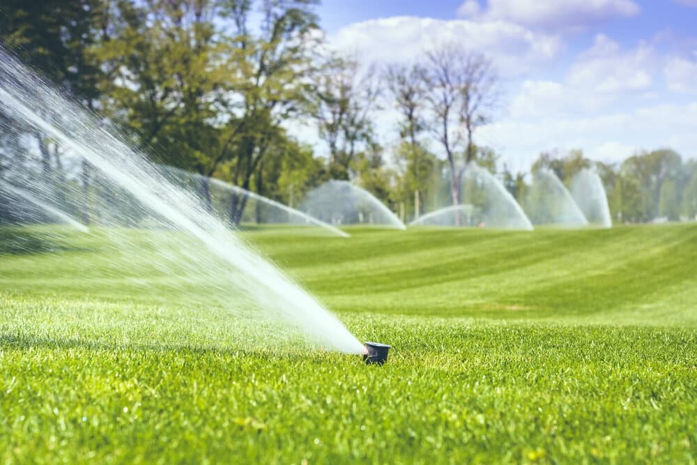 The Sprinkler Company Inc | Professional Watering Systems for Lawns