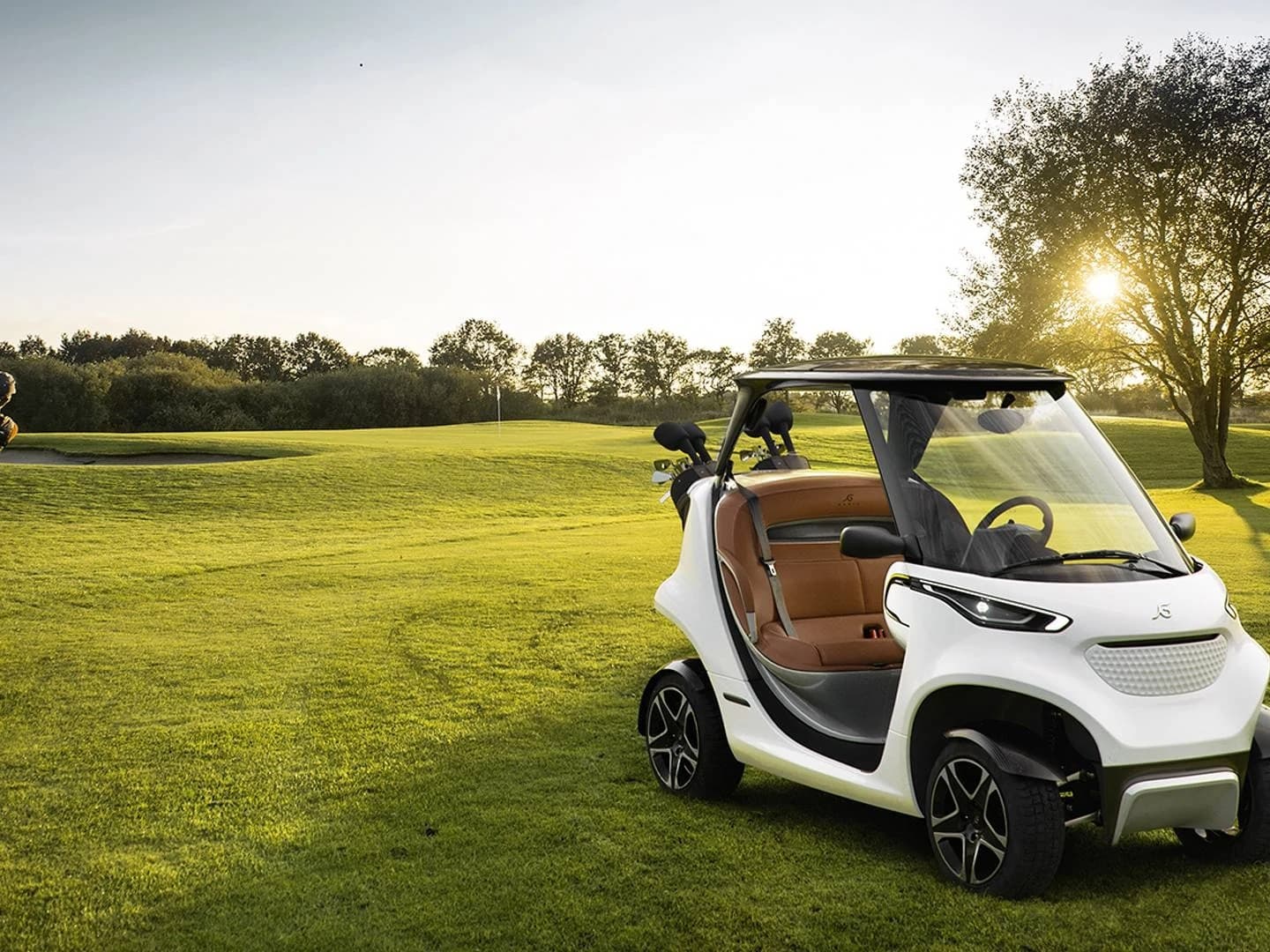Find Your Perfect Icon Golf Cart for Sale: Style and Performance Combined