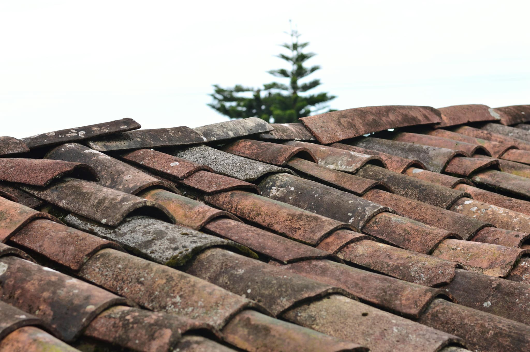 High-Quality Roofing Solutions That Stand the Test of Time By Twin Shield Roofing LLC