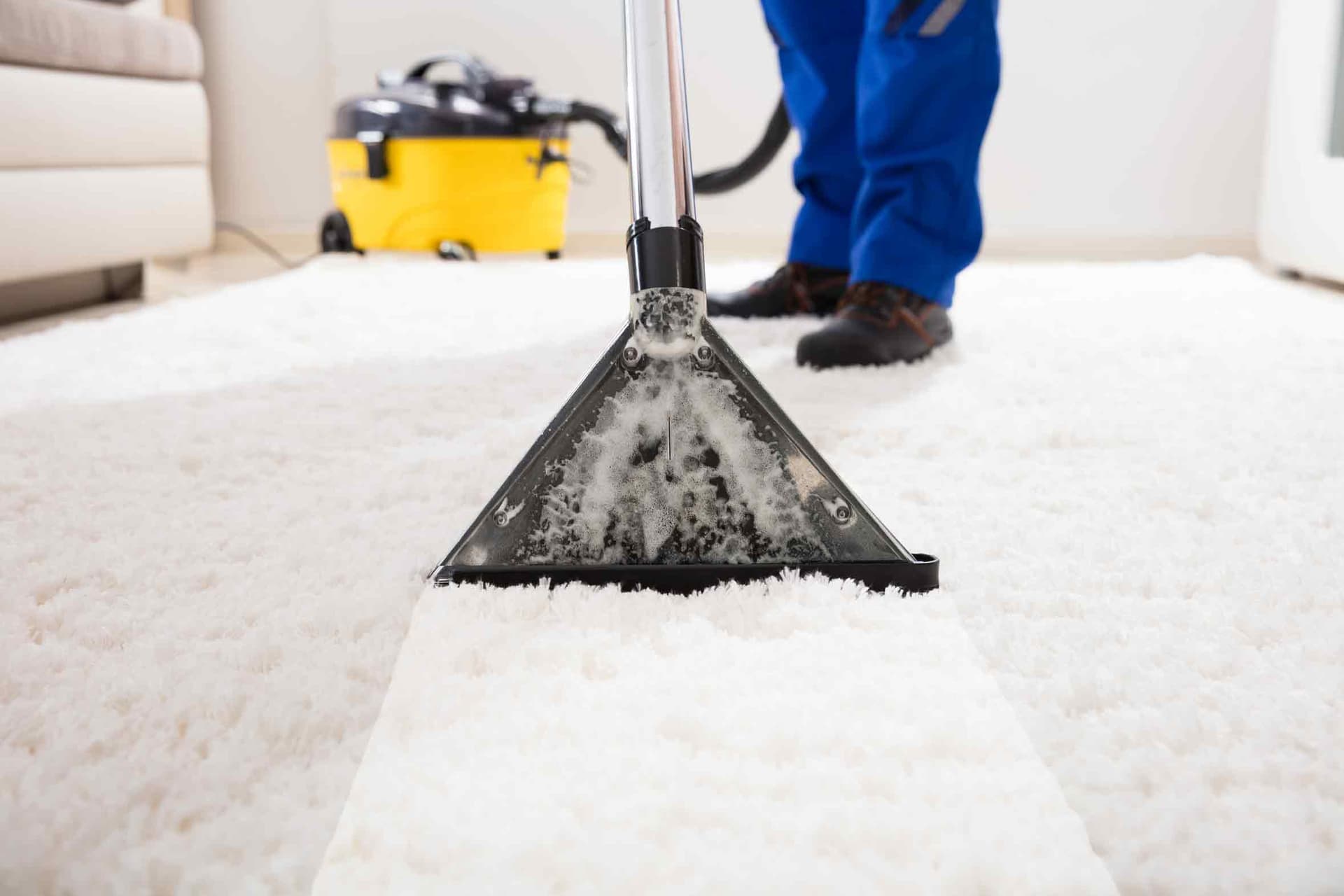 Professional Carpet Cleaners Lincoln CA – Experience Matters