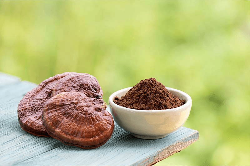 Why High-Quality Plant Extracts Matter in Dietary Supplements