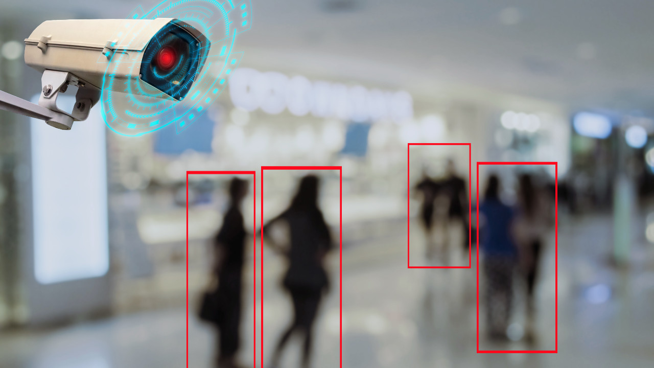 Trusted Private Security Services: Professional Agents and Continuous Surveillance