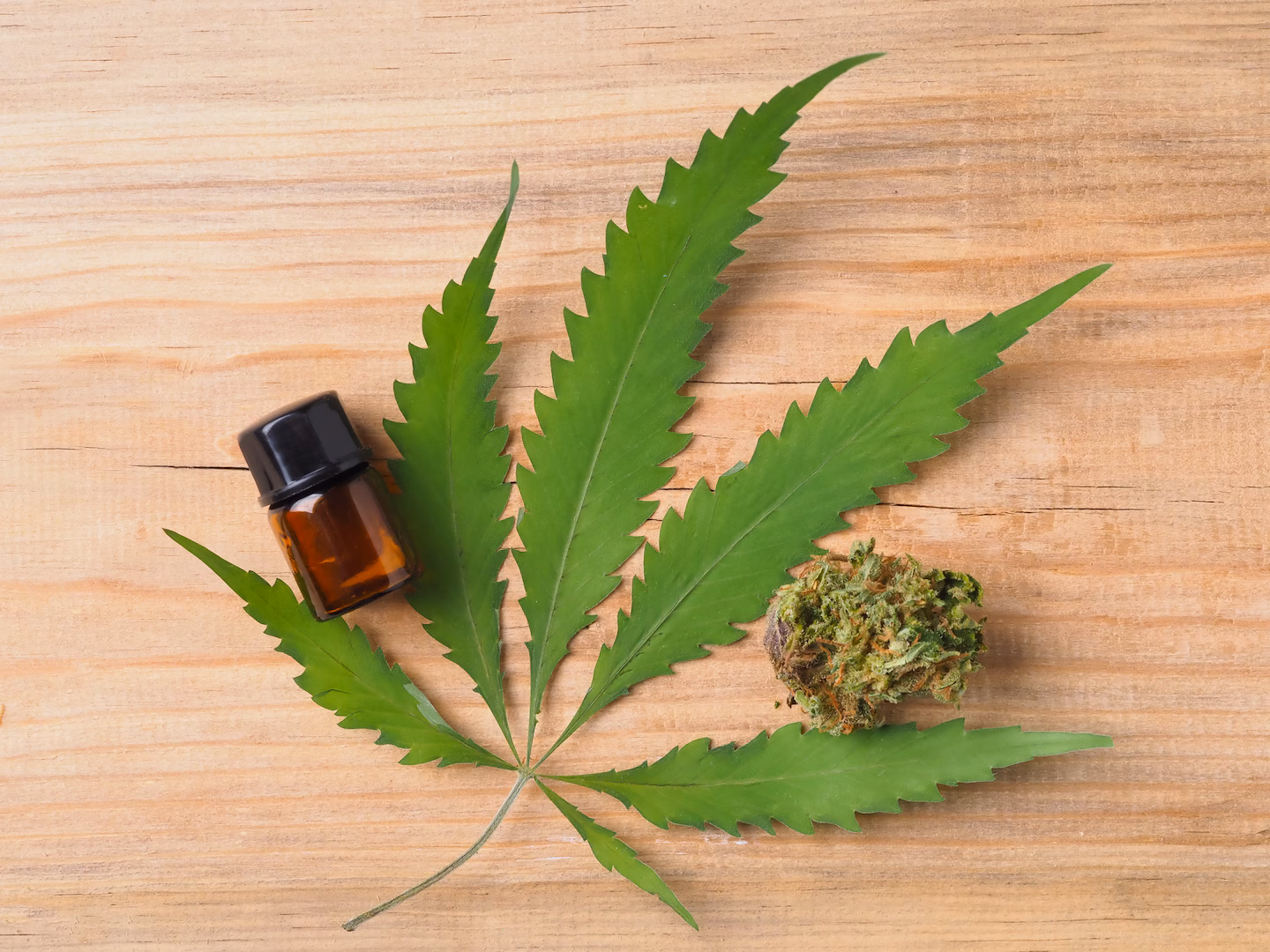 Cannabis club hamburg – Cannabis legal im Verein