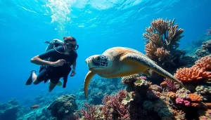 Dive with professionals from https://marvinscubaexpeditions.com amid Belize's stunning coral reefs.