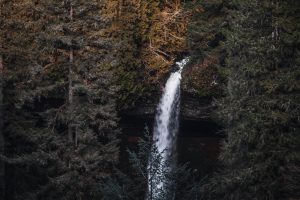 Address for Multnomah Falls Waterfalls: Shuttle Pickup Points